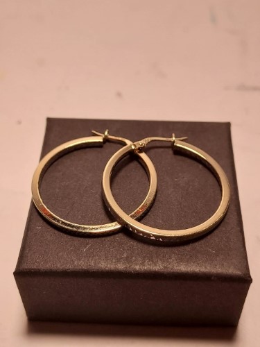 2g hoop store earrings